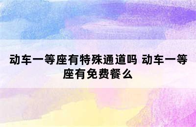动车一等座有特殊通道吗 动车一等座有免费餐么